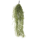 Artificial Air Plant Spanish Moss - Old Man Beard 60cm - RnR Galore