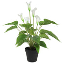 Artificial Flowering White Peace Lily / Calla Lily Plant 50cm - RnR Galore