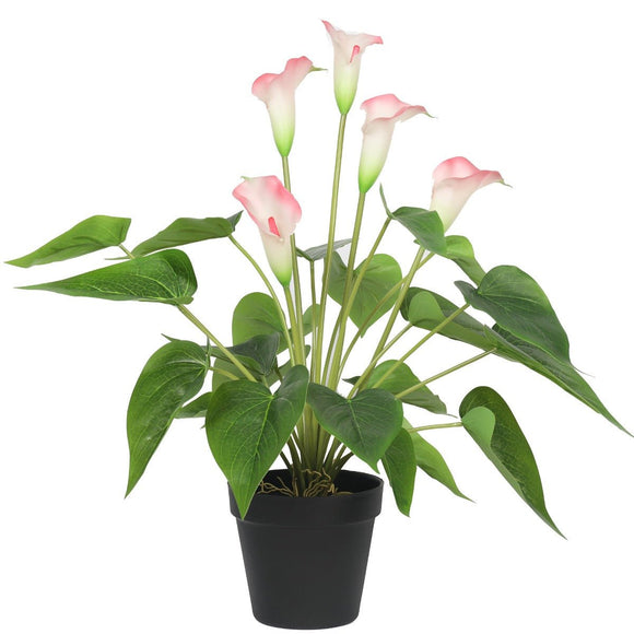 Artificial Flowering White & Pink Peace Lily / Calla Lily Plant 50cm - RnR Galore