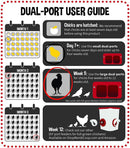 Cheeky Chooka Dual Chick Feeder Port Kit - RnR Galore