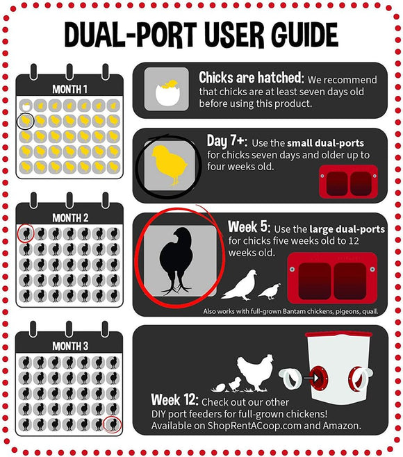 Cheeky Chooka Dual Chick Feeder Port Kit - RnR Galore