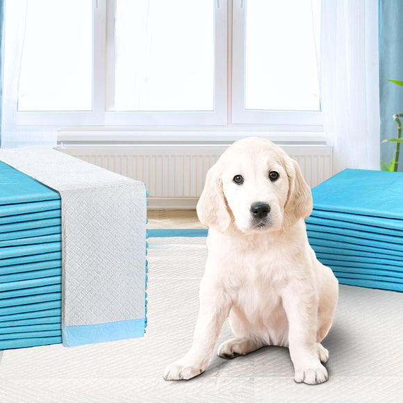 i.Pet Pet Training Pads 200pcs 60x60cm Puppy Dog Toilet Pee Indoor Super Absorbent Blue - RnR Galore