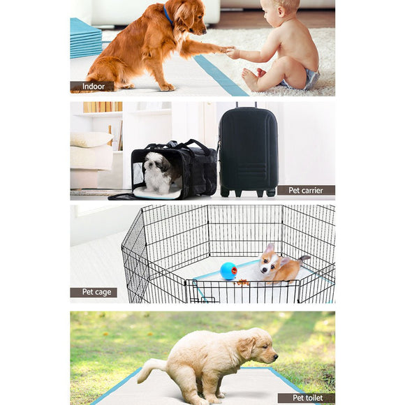 i.Pet Pet Training Pads 200pcs 60x60cm Puppy Dog Toilet Pee Indoor Super Absorbent Blue - RnR Galore
