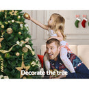 Jingle Jollys Christmas Tree 1.8M Xmas Tree Decorations Pine Needles 1024 Tips - RnR Galore