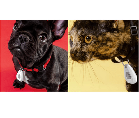 Mitey Tick Off For Pets Electronic Tick Repeller - RnR Galore