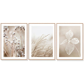 Wall Art 40cmx60cm Dried Flower 3 Sets Wood Frame Canvas - RnR Galore