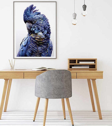 Wall Art 60cmx90cm Black Cockatoo A Black Frame Canvas - RnR Galore