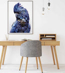 Wall Art 70cmx100cm Black Cockatoo A Black Frame Canvas - RnR Galore